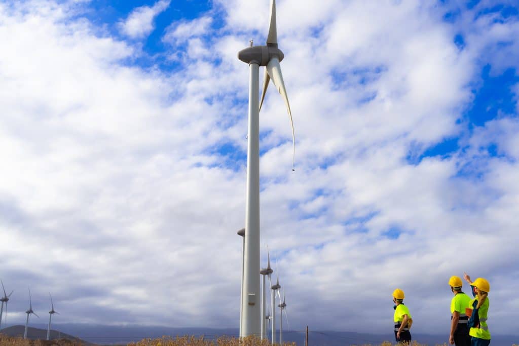 Contract roles in Energy