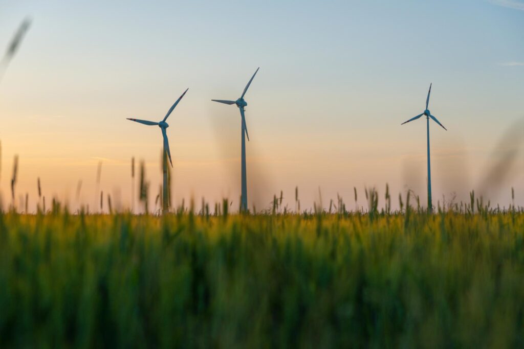 Vinova renewable energy recruitment specialists in Australia