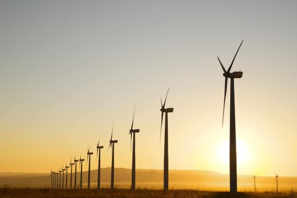 Renewable energy staffing by Vinova